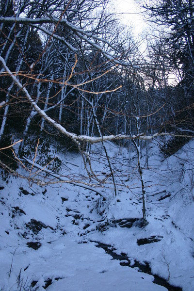 Snowfall In The Smokey's