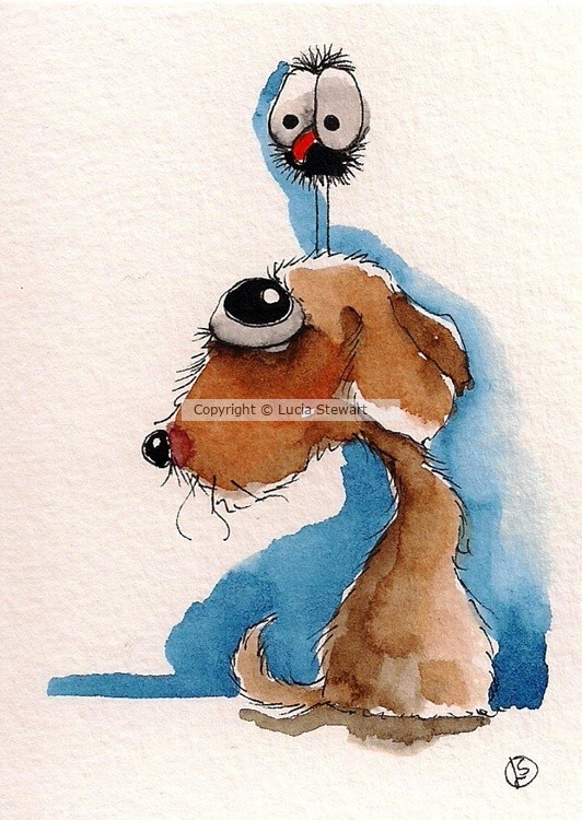 What big eyes you have!