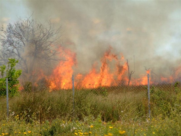 fire in the fields