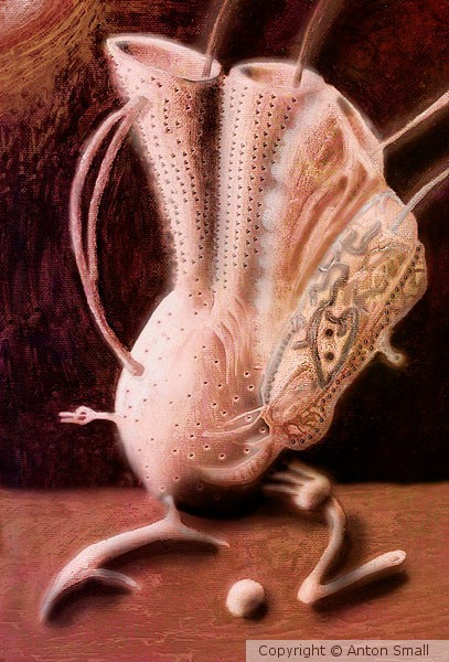 Object I