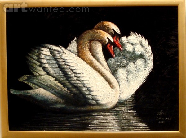 Swan Couple.