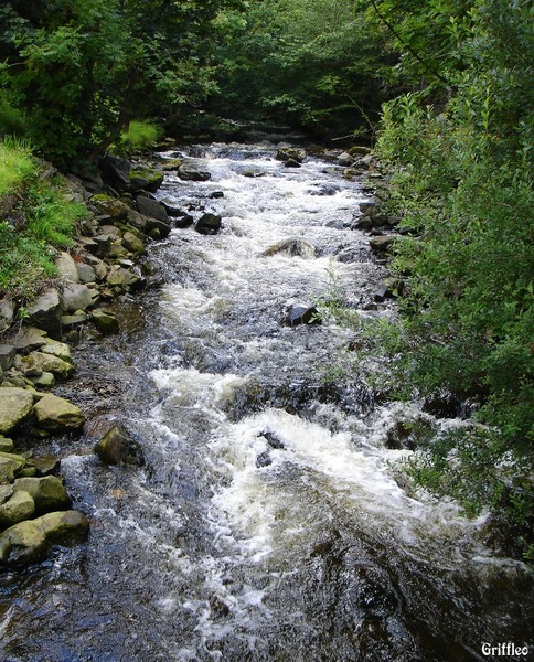 COOL WATER