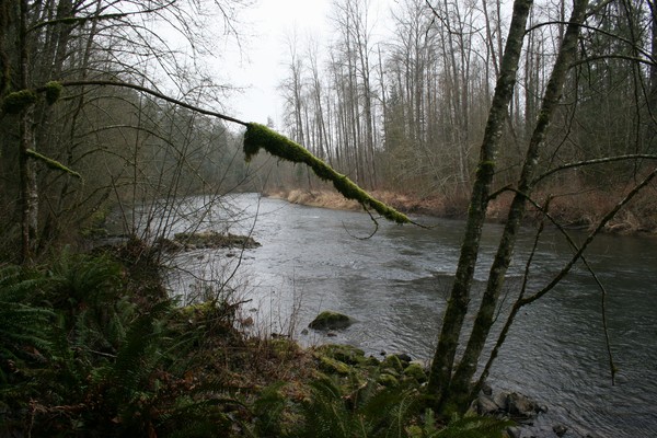 Fishing, Anyone????