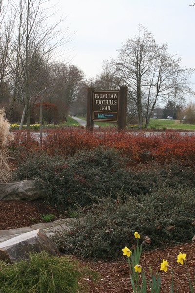 Enumclaw Foothills Trail