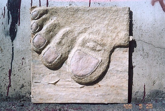 Buddha's Foot