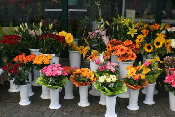 Flower Shop In Italy