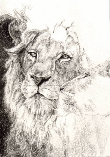 The Pride (work in progress