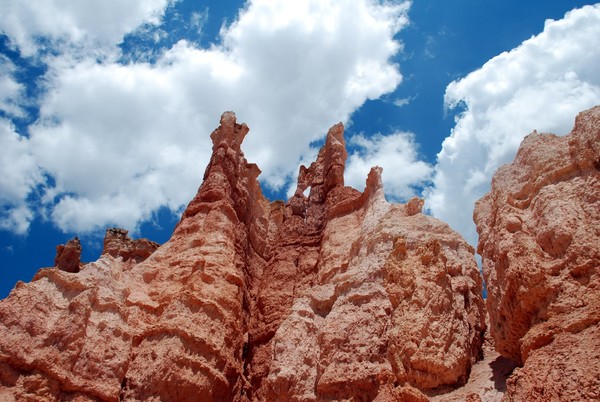 Looking up at Hoodoos in Bryce Canyon