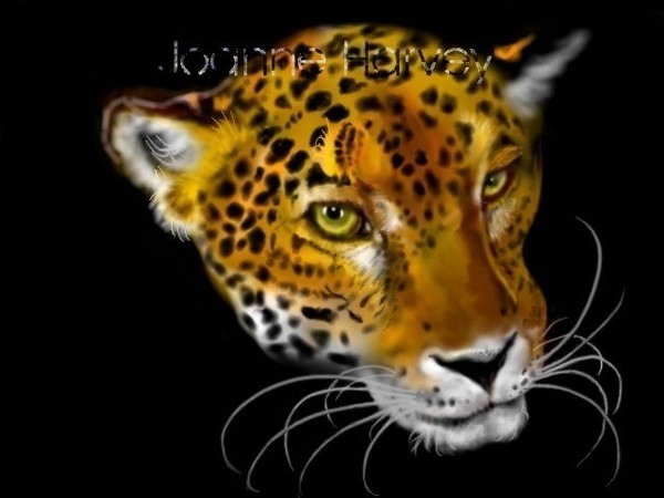 Big Cat