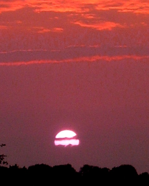 Red Sunset