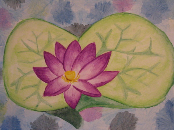 Waterlily