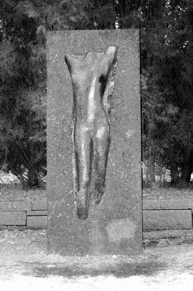 Human Form