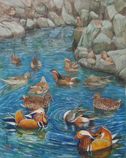 mandarin Ducks