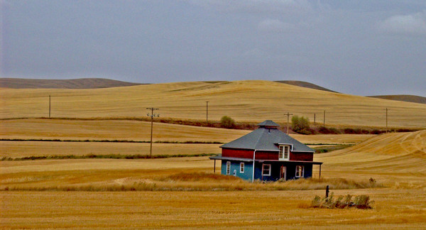 yellow hills