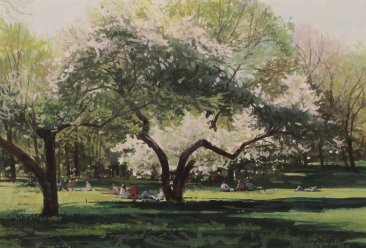 Picnic In The Park
