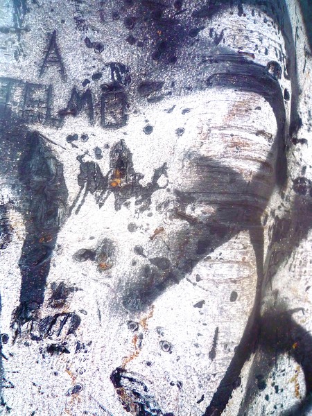 Portrait of A Caged Woman