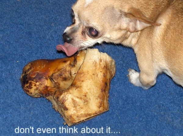 Don't even think about...