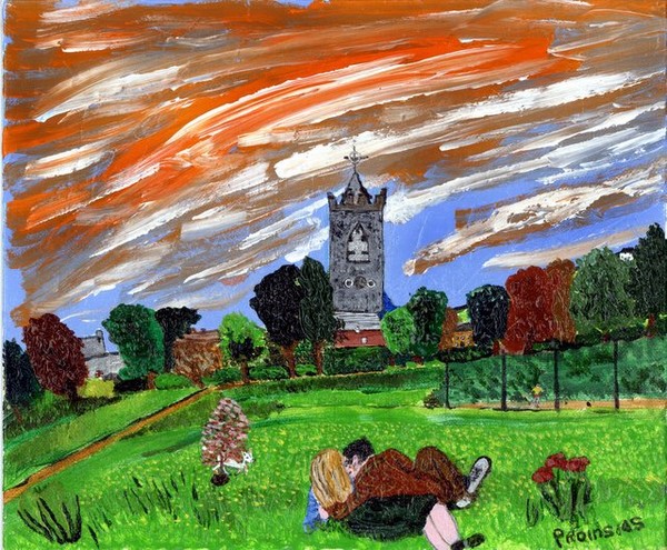 Save Dingle Park