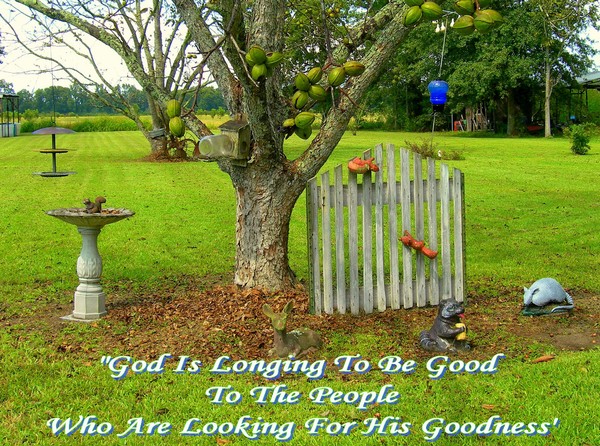 Seek Ye First The Kingdom Of God