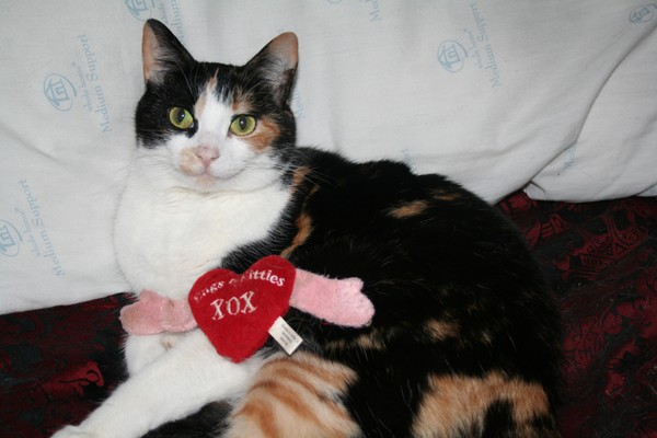 Happy Valentine's Day from Weezy!