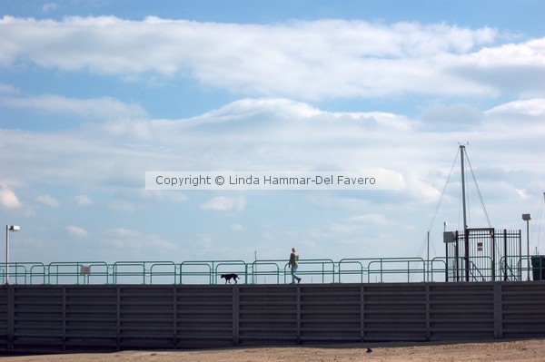 Dog Walking at Lake Michigan Marina Photo