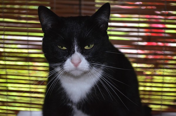 You May Call It 'Grouchy'