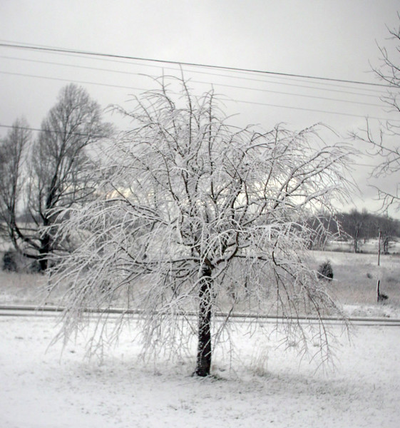 First Snow