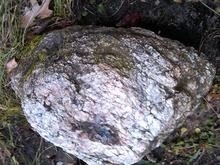 IMG01374-20101121-1337