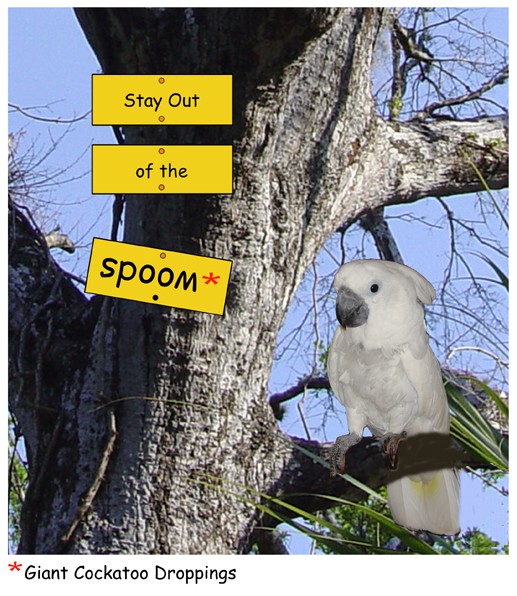 Stay Out