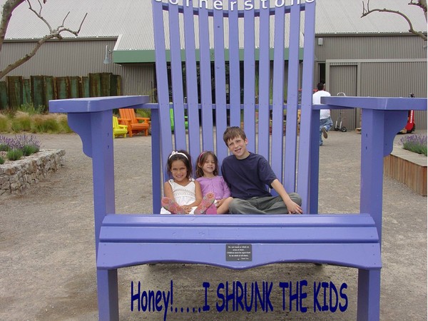 Honey!..........I shrunk the kids!!