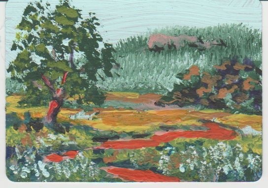 Texas Hill Country