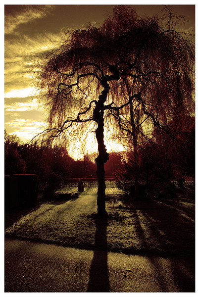 Vestre graveyard