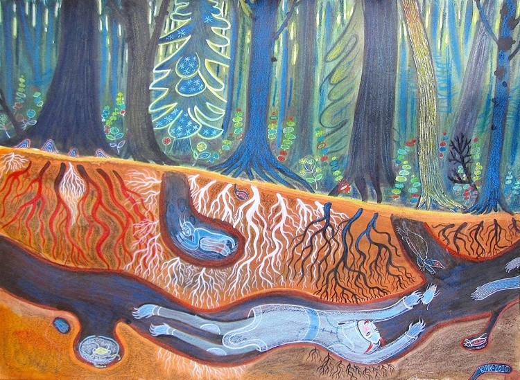life In The Forest