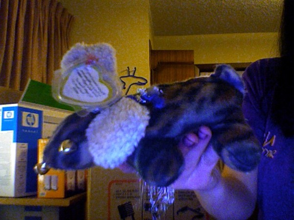 Beanie Doggie