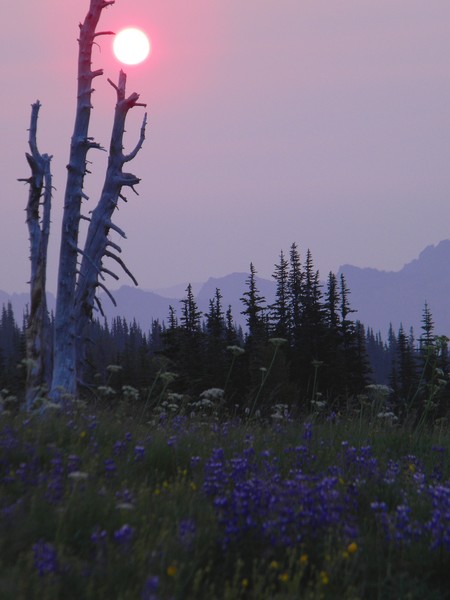 Hazy Sunrise