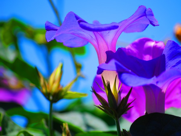 good morning GLORY!!!!!