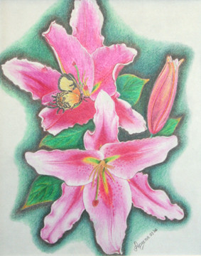 Pink Lillies