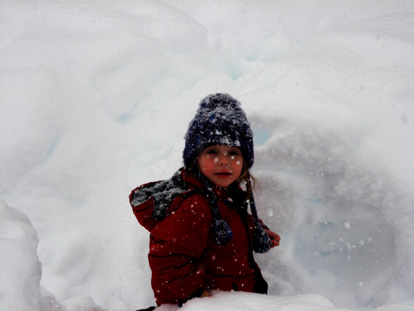 Snowy Sam