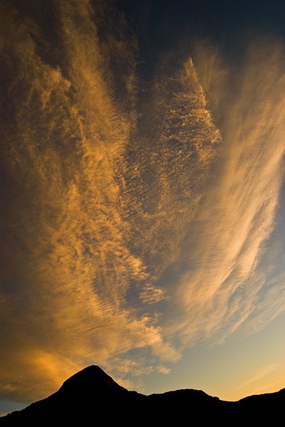 Reaching To Heaven