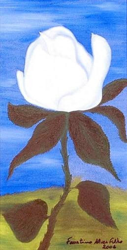 Rosa Branca