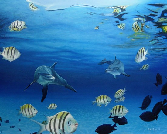 Dolphins