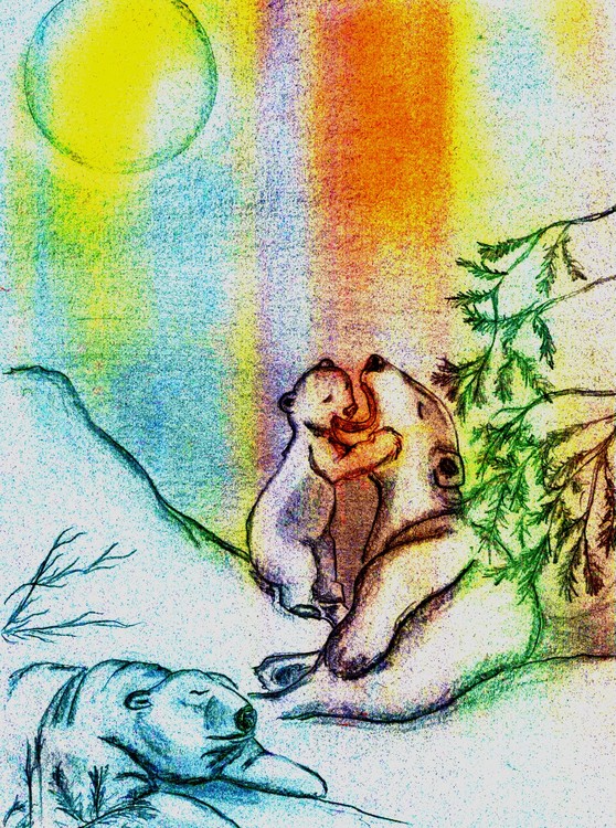 Bears