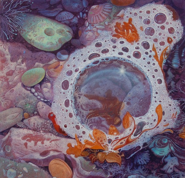 Tide Pool Bubble