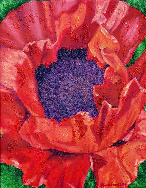 Poppy