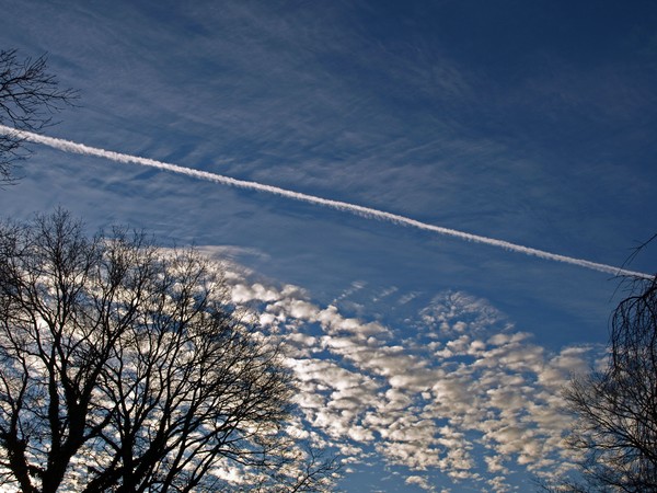 VAPOR TRAIL