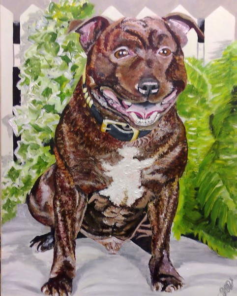 staffie