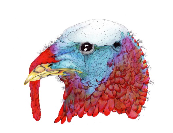 Turkey Drawing 2007©