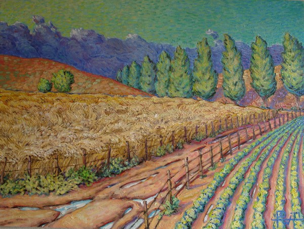 Wheatfields