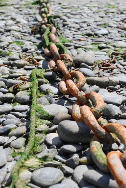 Link in the Chain