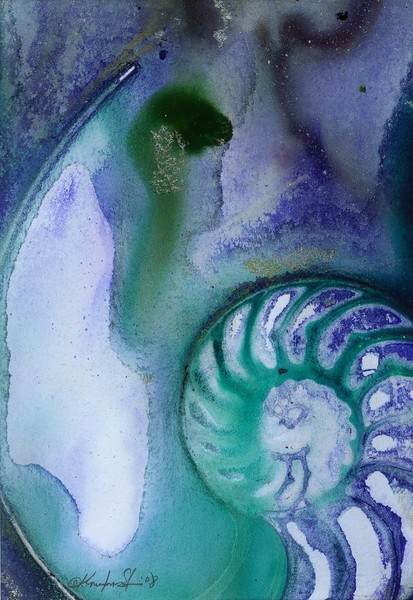 Nautilus Shell #49